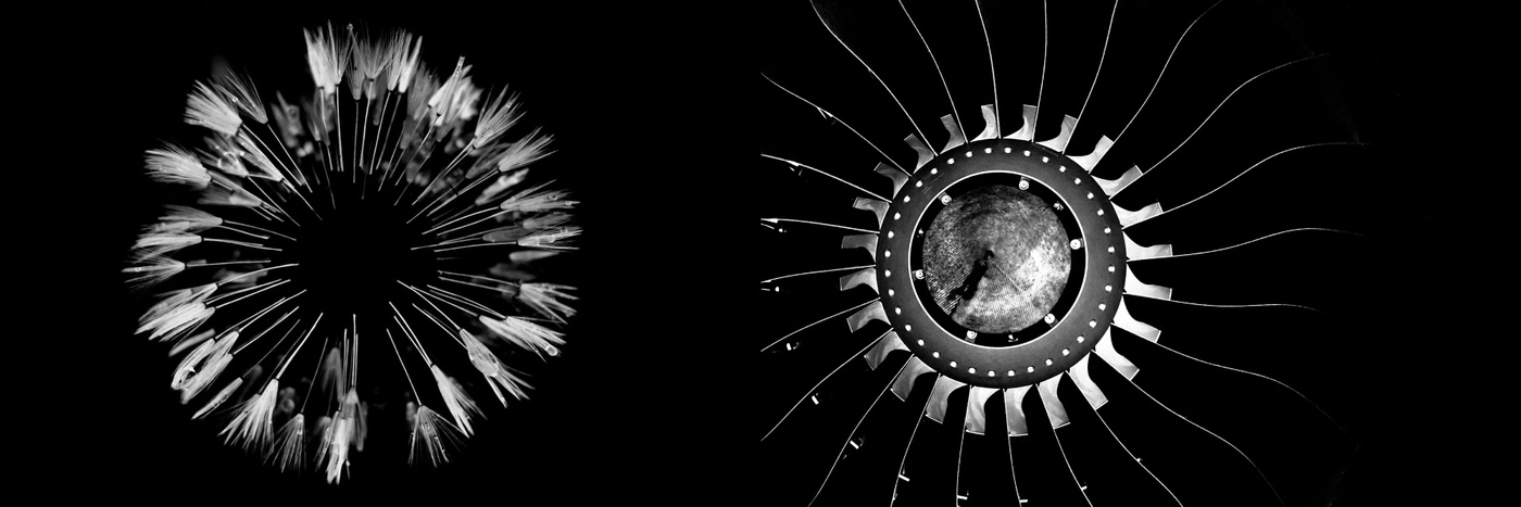 Premier prix du jury